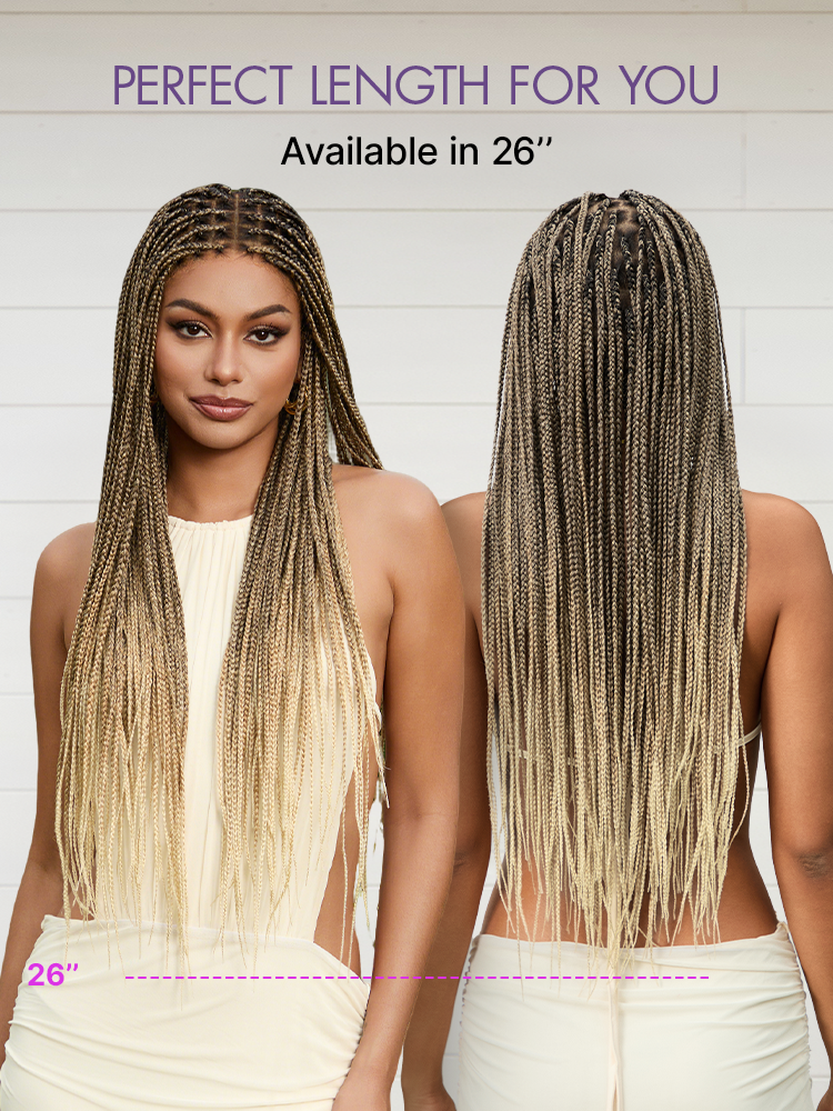 🔥Last Day: 73% Off🔥 Salon Braids HD Lace Knotless Wig